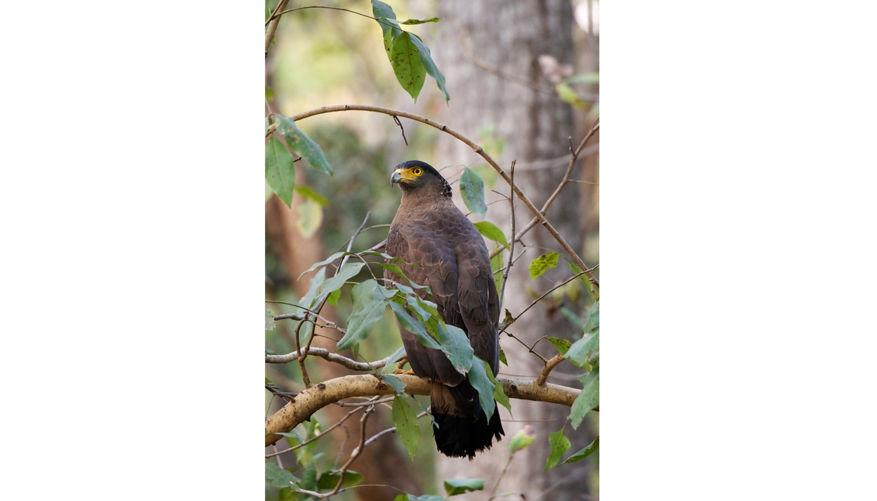 Atkinson India April 2015 Ampersand Travel 19 