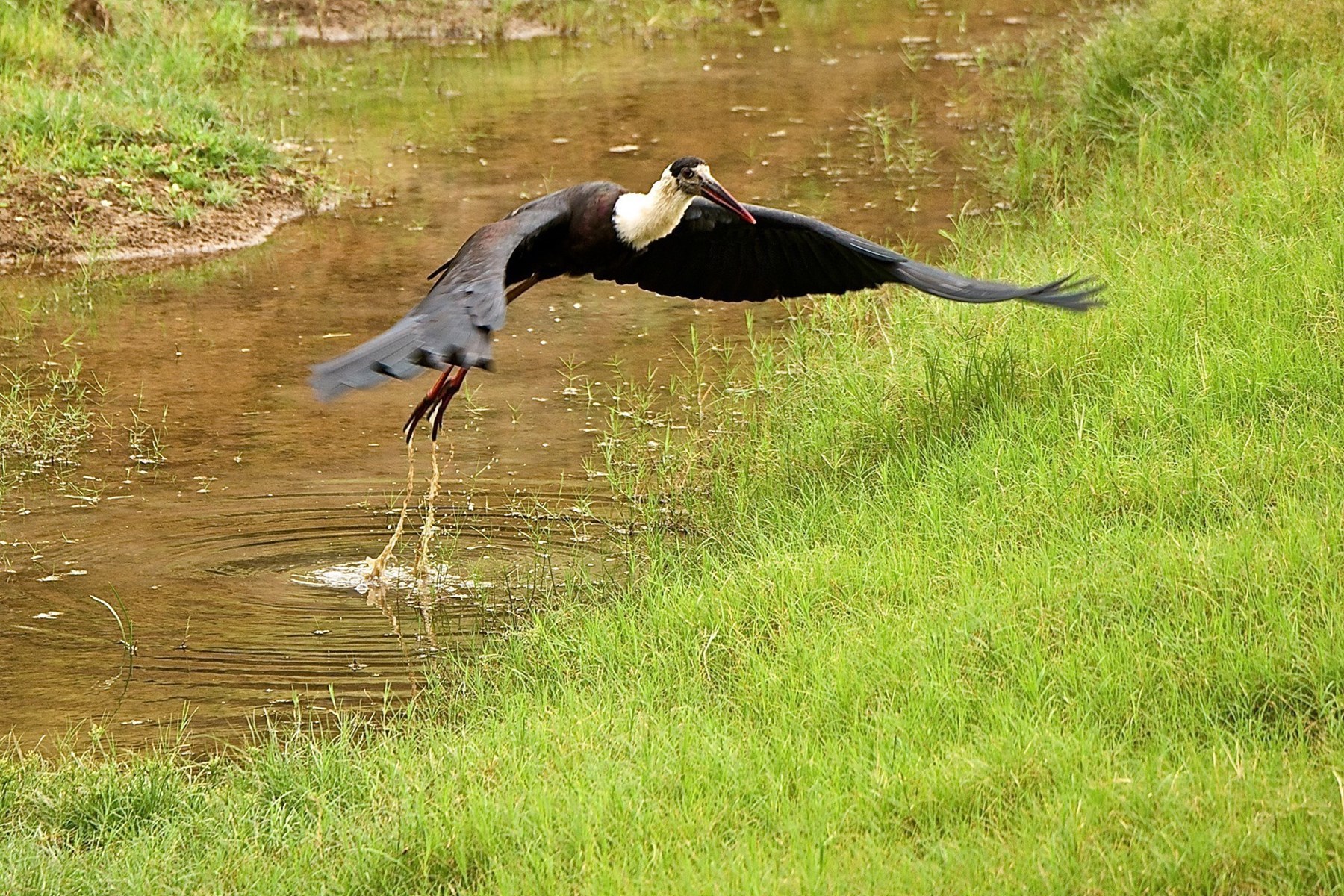 Atkinson India April 2015 Ampersand Travel 21 