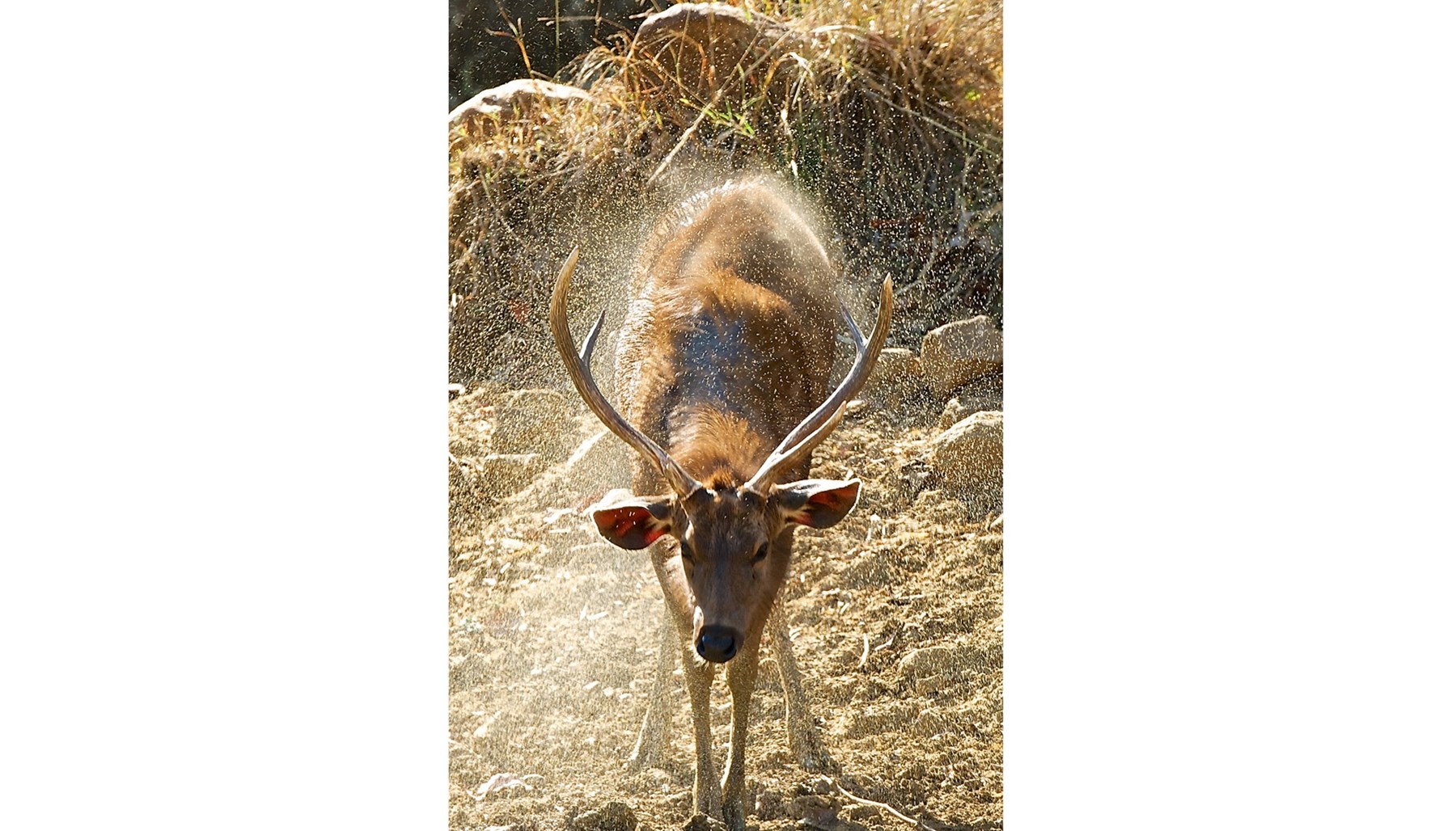 Atkinson India April 2015 Ampersand Travel 22 