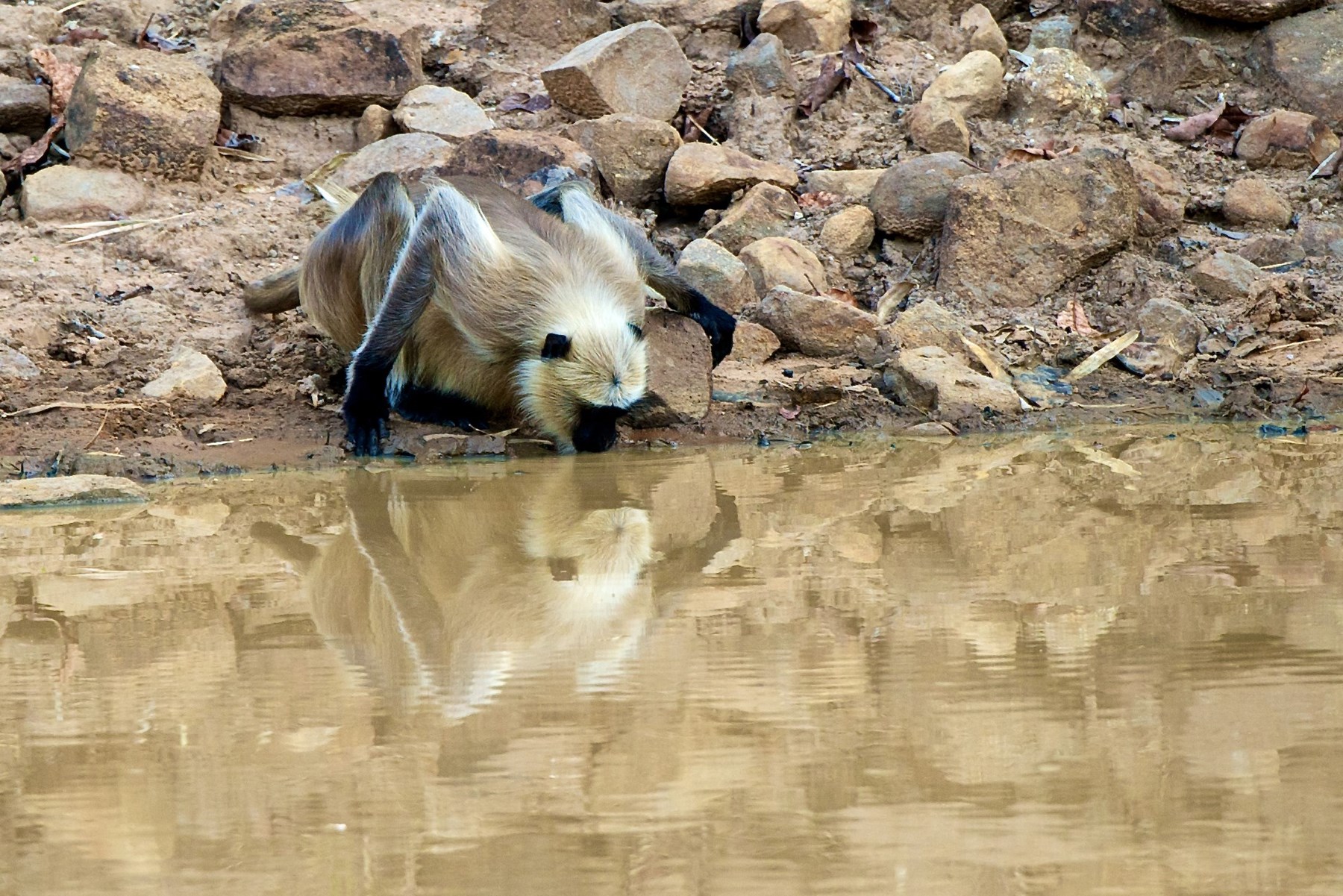 Atkinson India April 2015 Ampersand Travel 3 