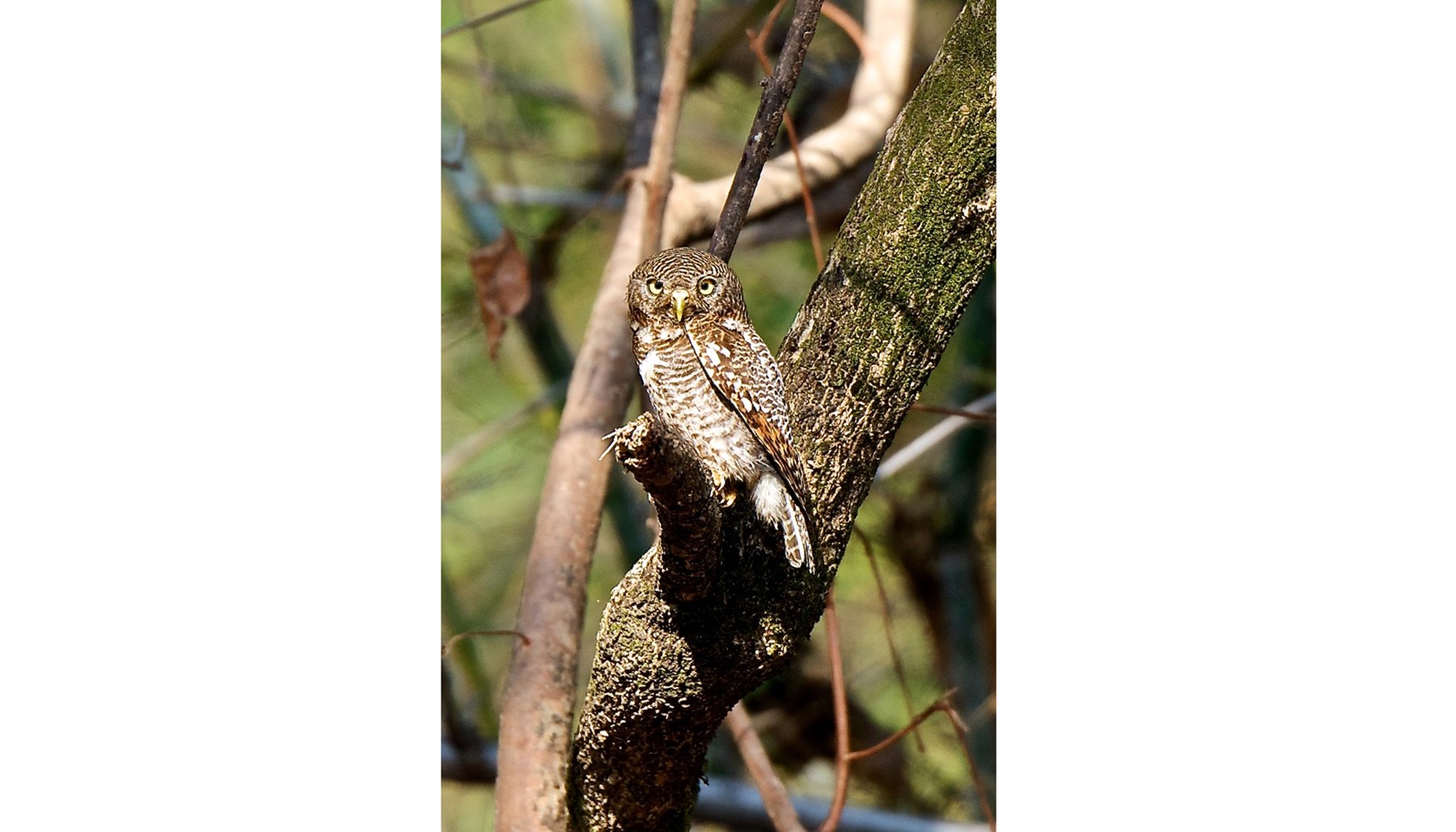 Atkinson India April 2015 Ampersand Travel 4 