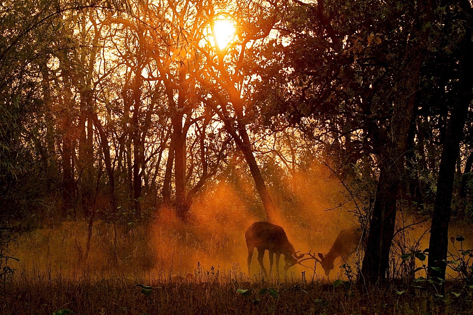 Atkinson India April 2015 Ampersand Travel 6