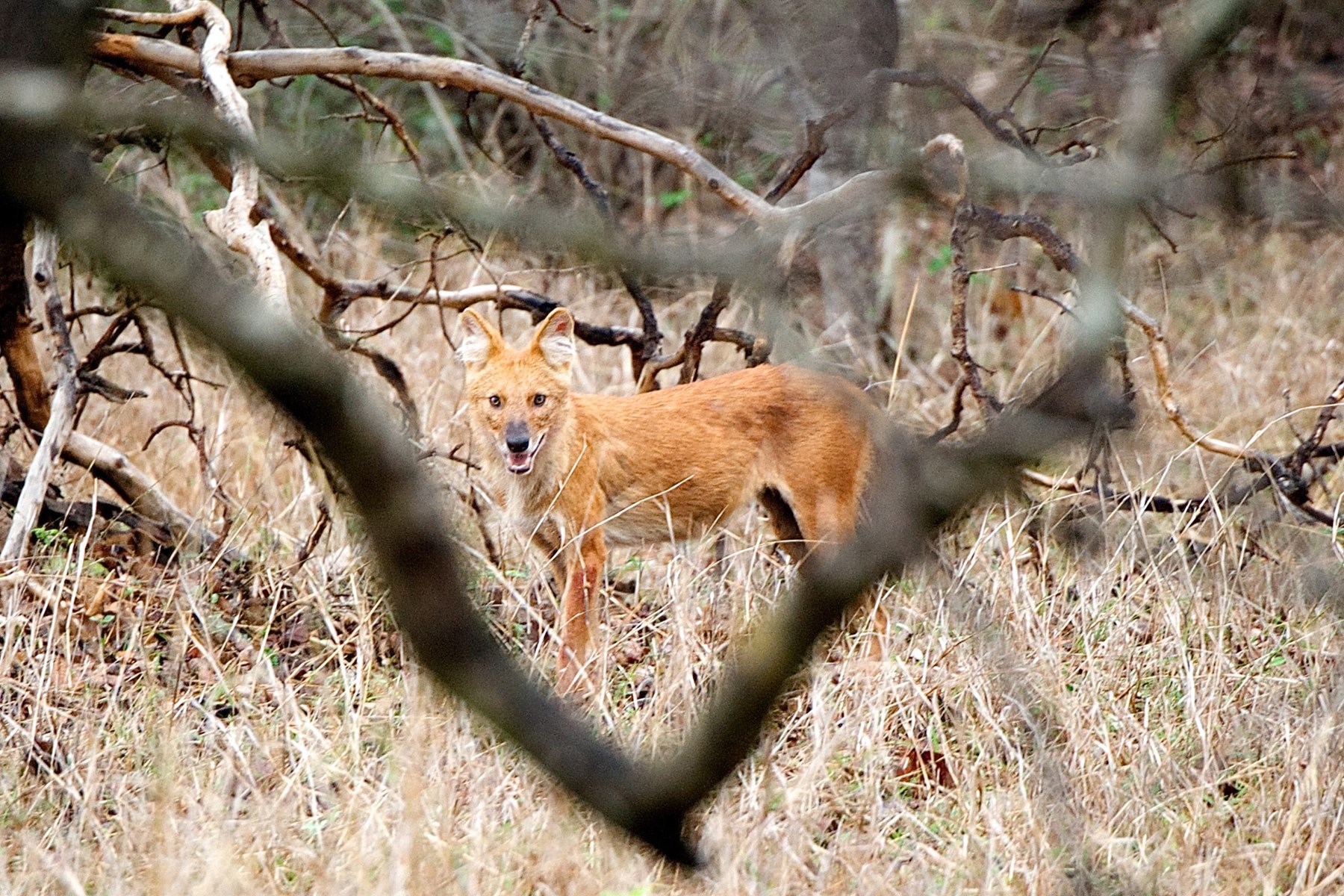 Atkinson India April 2015 Ampersand Travel 8 