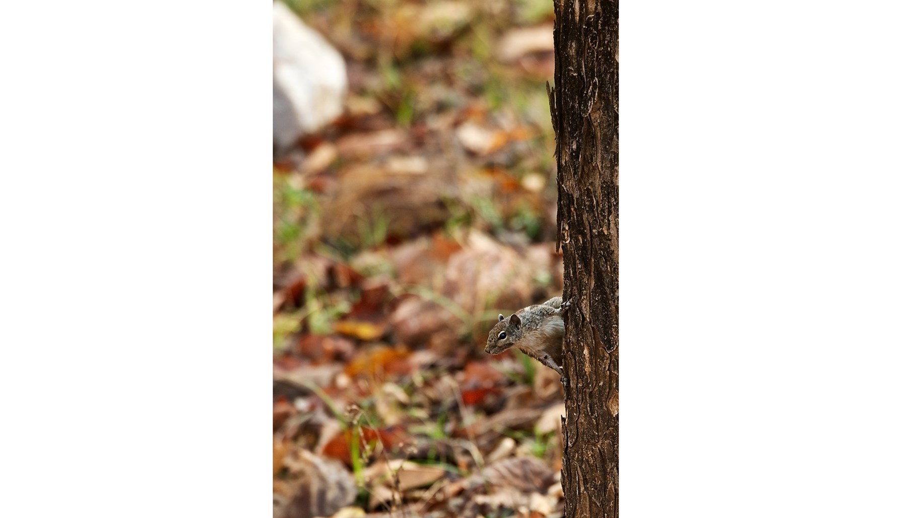 Atkinson India April 2015 Ampersand Travel 9 