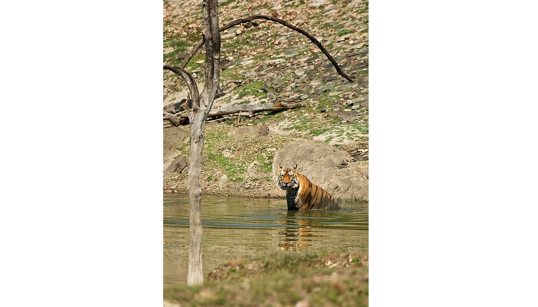 Atkinson India April 2015 Ampersand Travel 11 