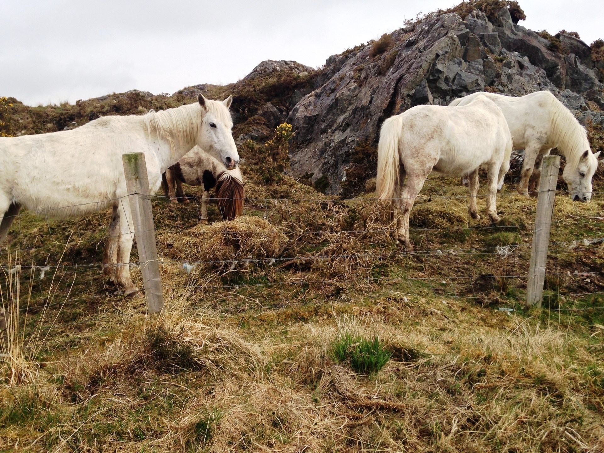 Ellies Photos Ireland Research Trip Ampersand Travel 29 