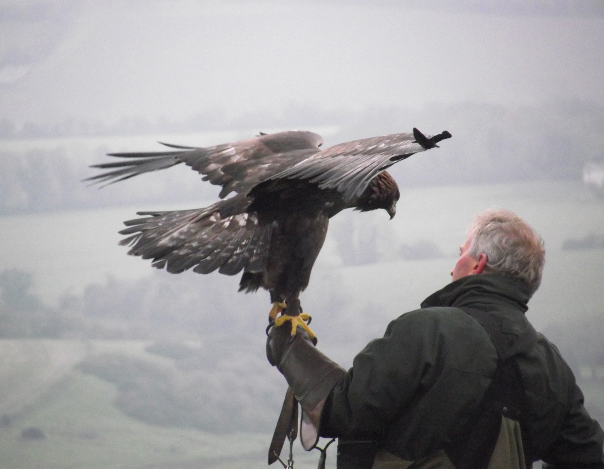 K Club Kildare Ireland 4 