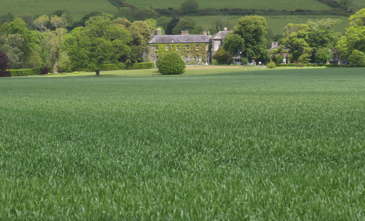 Ballymaloe Midleton Ireland UK 9 