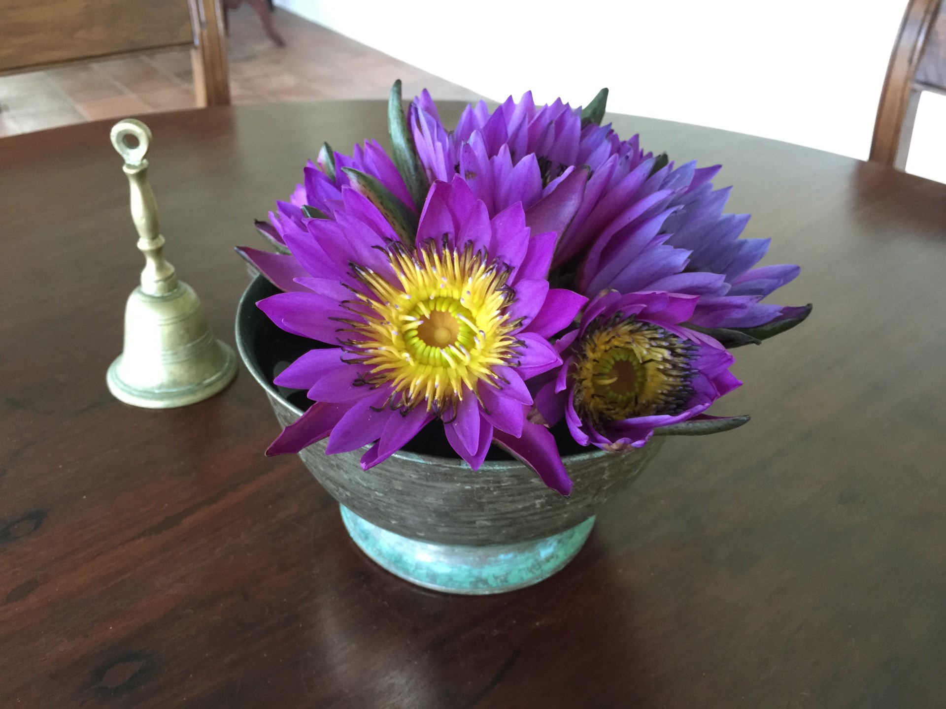 Rock Villa Bentota Sri Lanka 9 