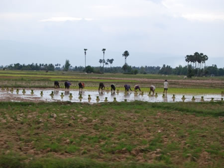 Battambang Cambodia 1 