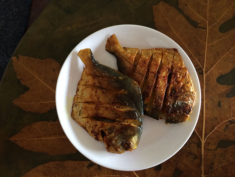 Ahilya By The Sea Goa South India 27 