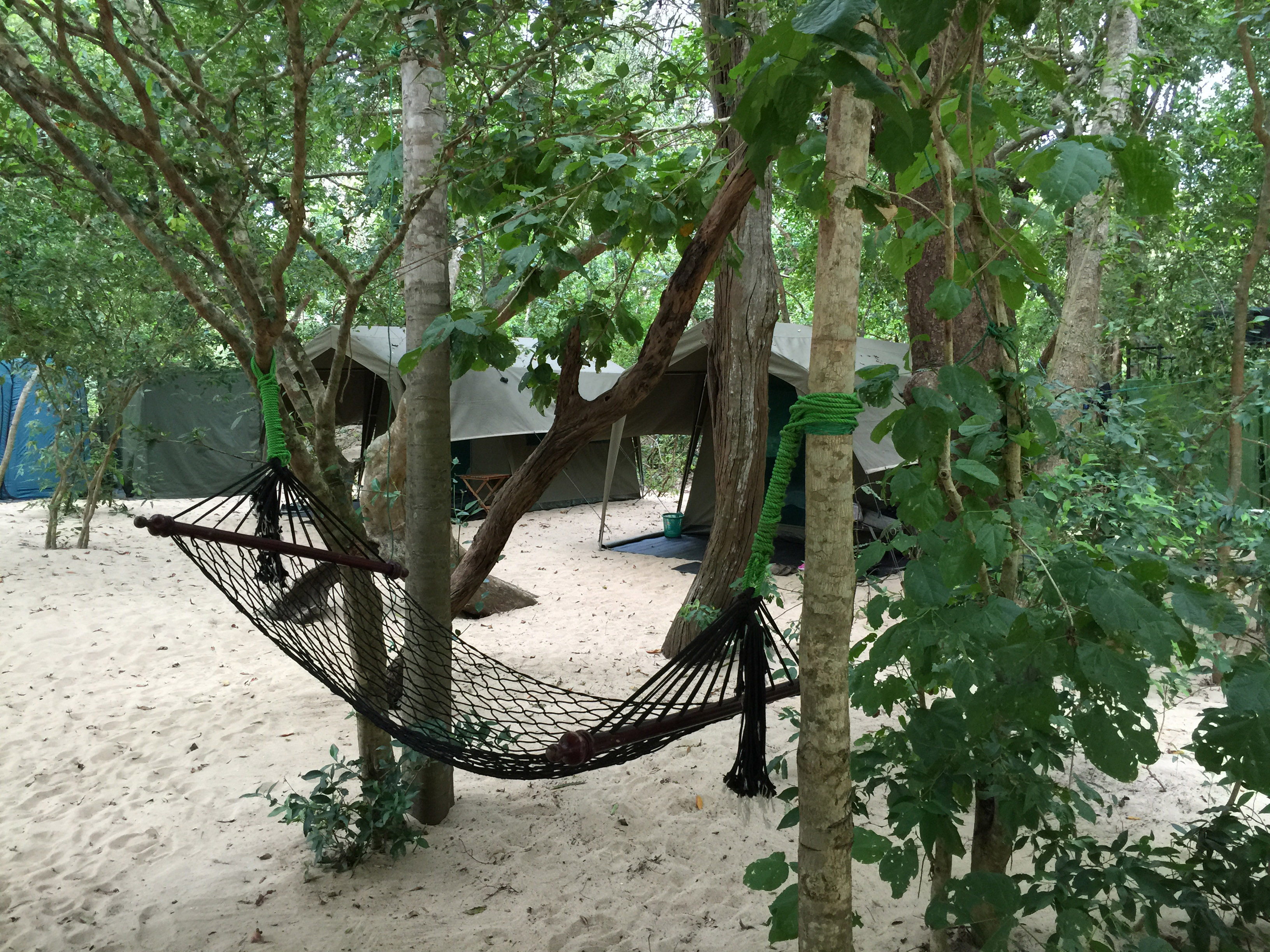 Kumana Mobile Tented Camp Kumana Sri Lanka 5 