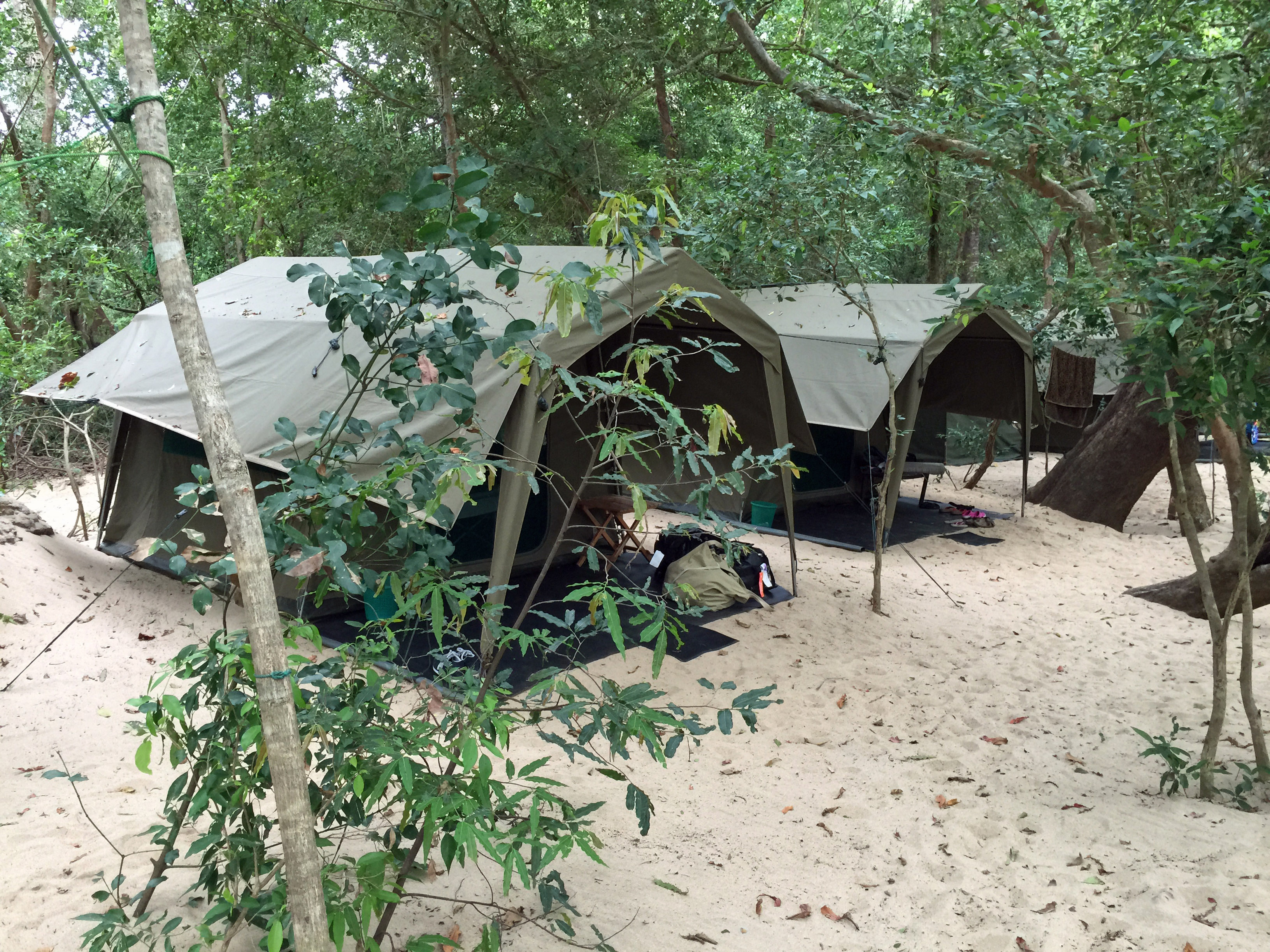 Kumana Mobile Tented Camp Kumana Sri Lanka 7 