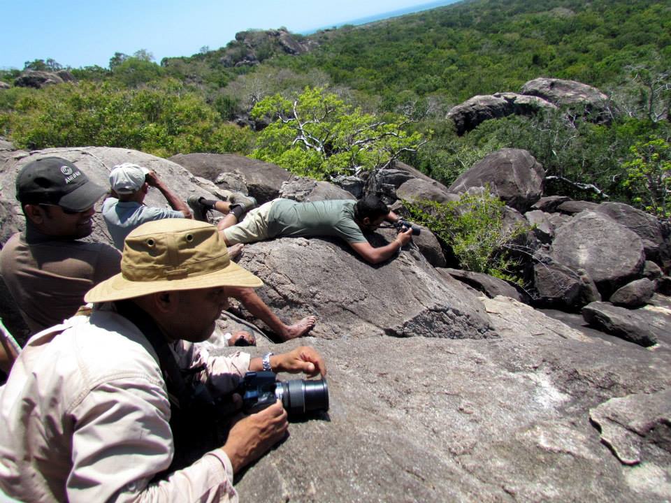KUMANA National Park Sri Lanka 18 