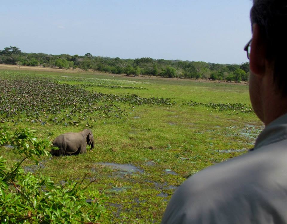KUMANA National Park Sri Lanka 11 