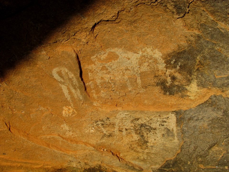 KUMANA National Park Sri Lanka 23  (1)