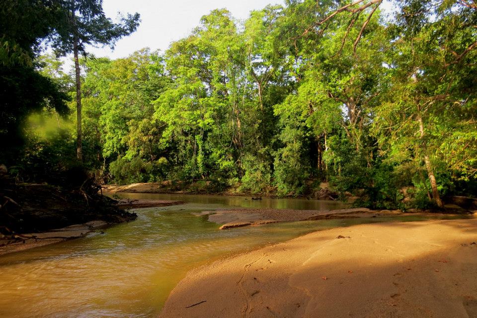KUMANA National Park Sri Lanka 38  (1)