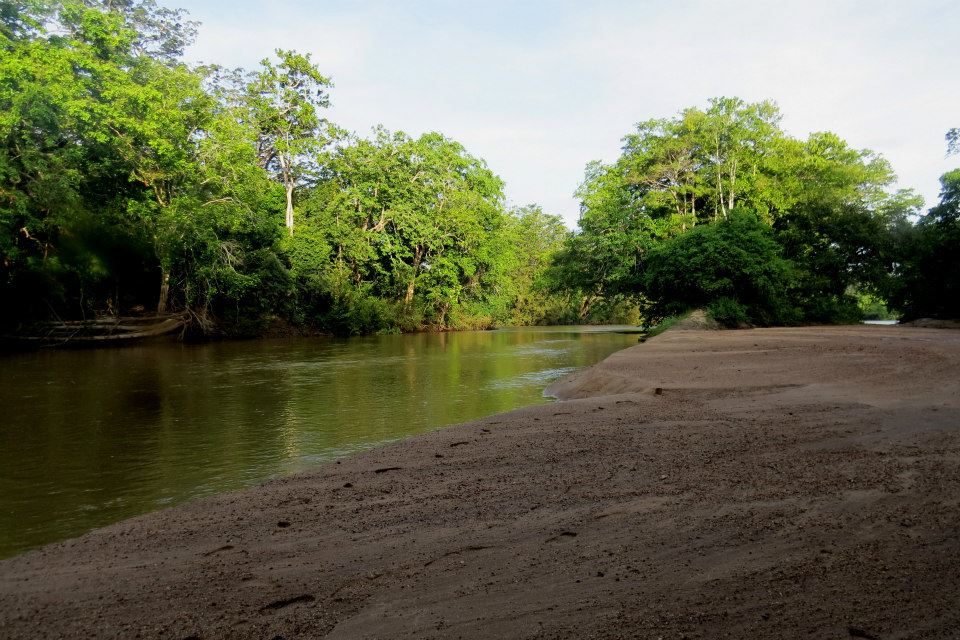 KUMANA National Park Sri Lanka 40  (1)