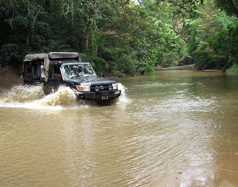 KUMANA National Park Sri Lanka 46  (1)