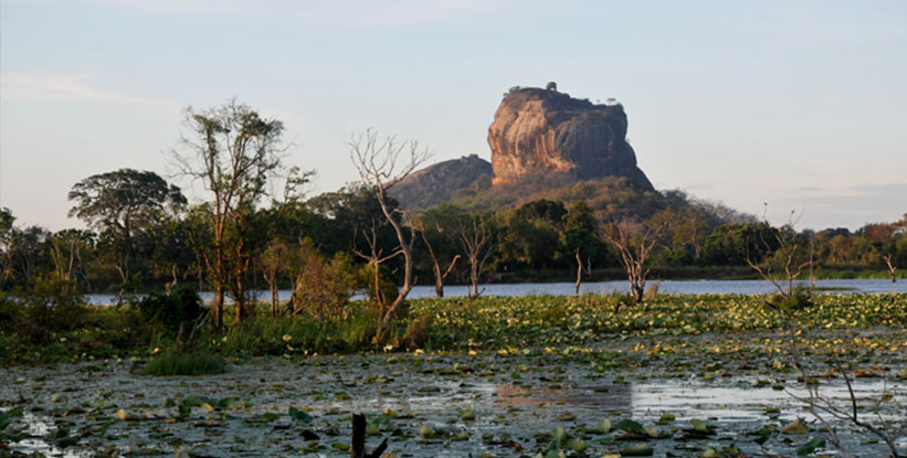 Back Of Beyond Pidurangala Sri Lanka 7 