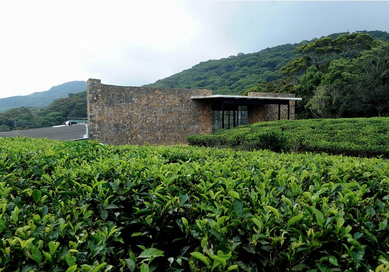 Rainforest Eco Lodge Sinharaja Sri Lanka 8 