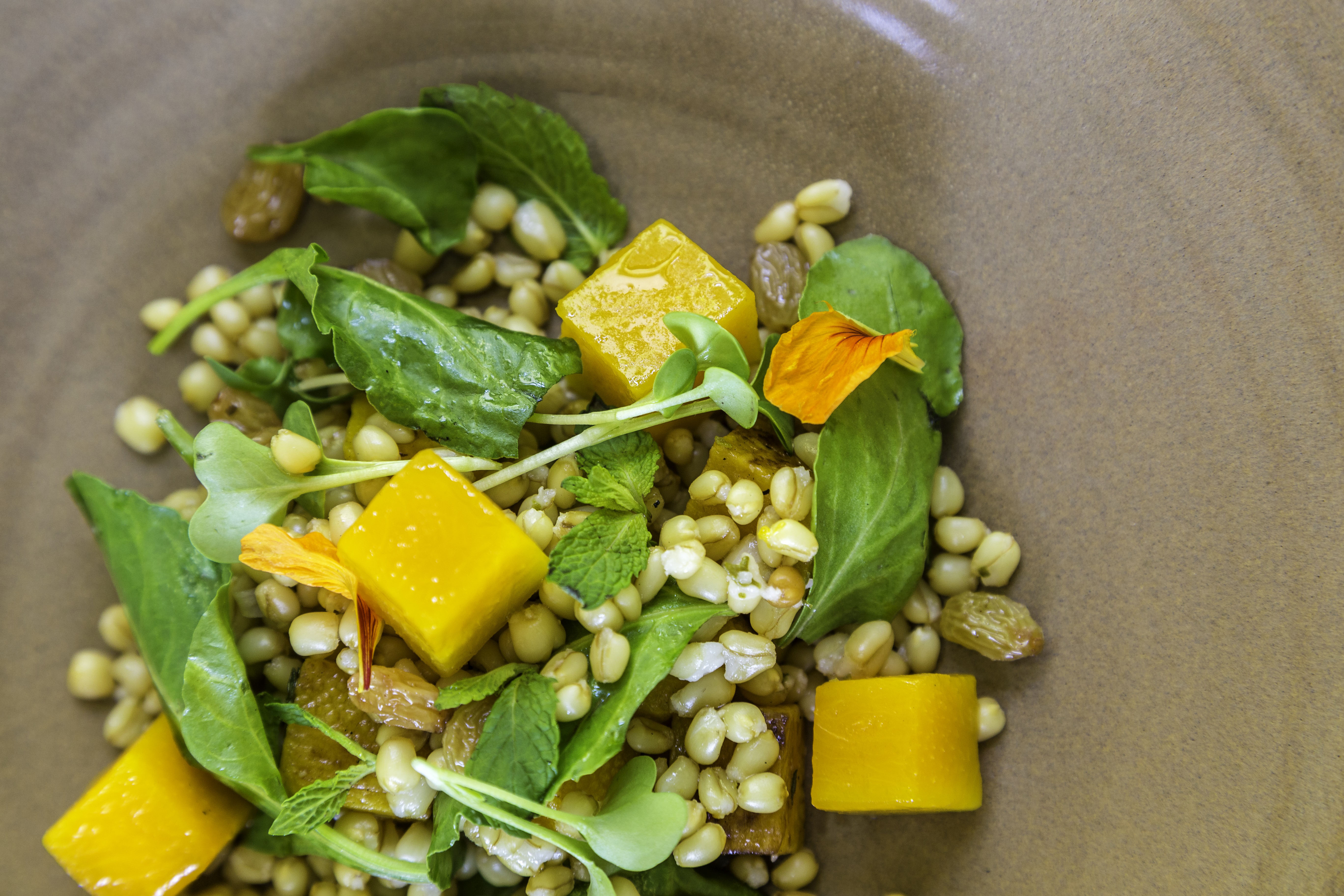 VANA Malsi Estate Dehradun North India Salad