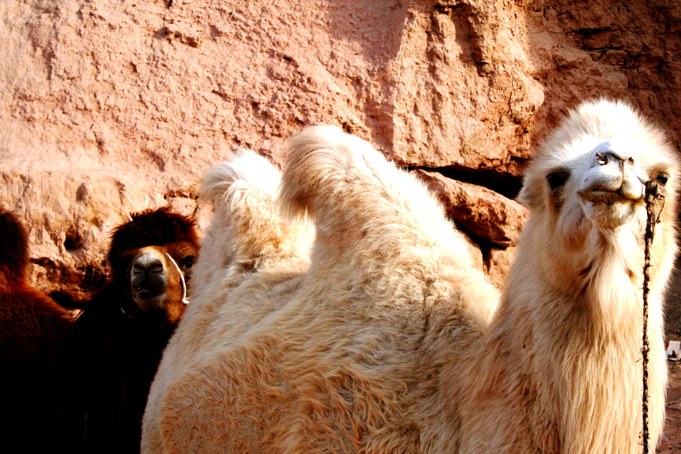 Following The Silk Road In Chinas Wild West 3 