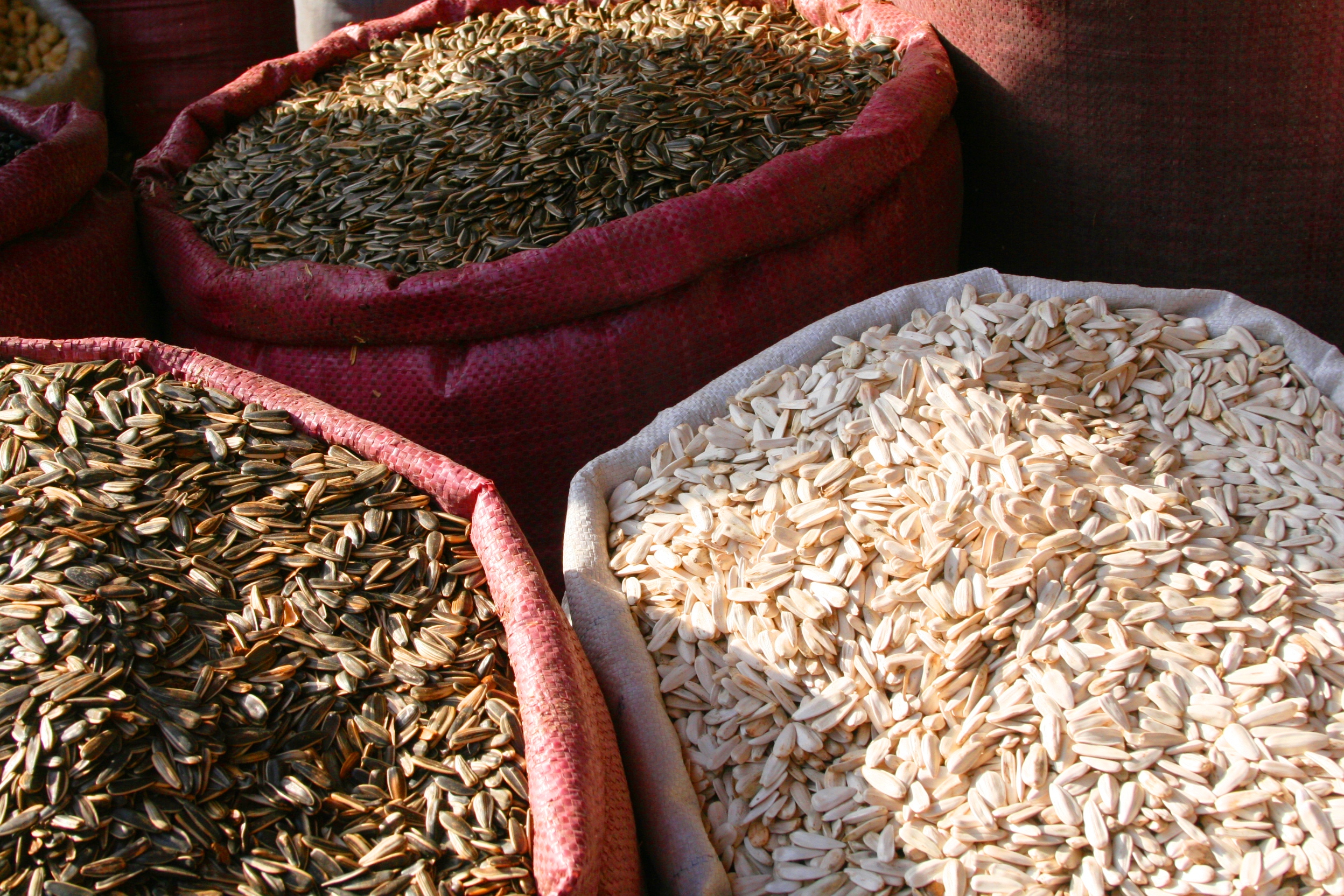 Following The Silk Road In Chinas Wild West 5 