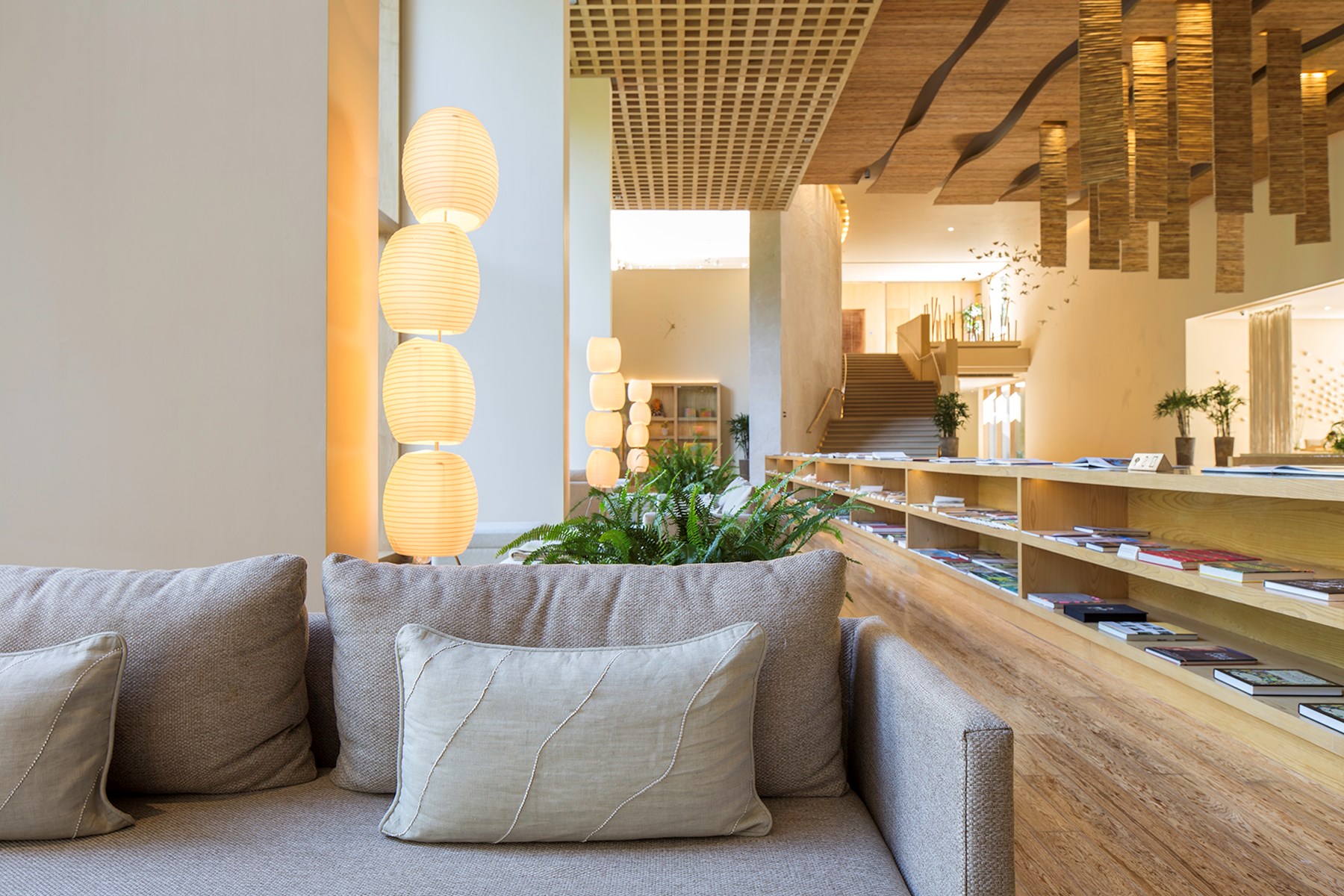 VANA From James Vana Malsi Estate Dehradun North India 14