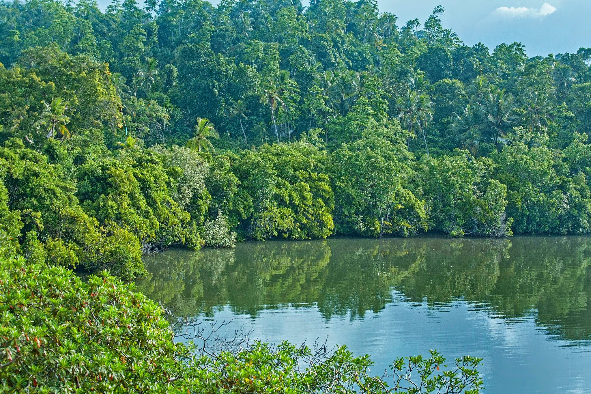 Tri Lanka Galle Koggala Lake Sri Lanka 11 
