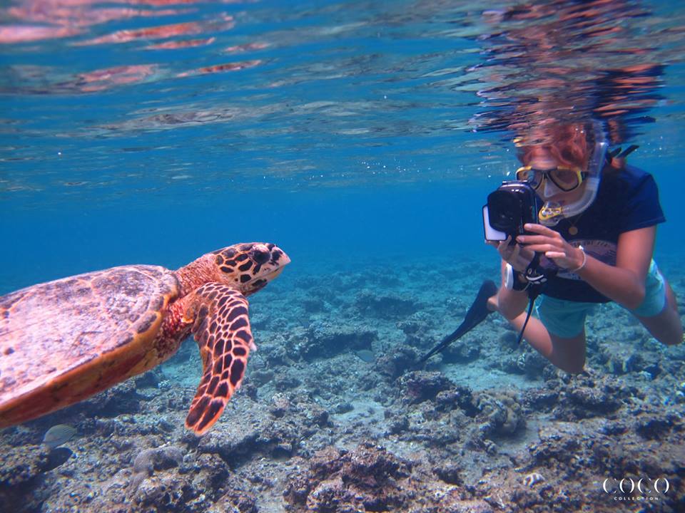 Coco Bodu Hithi Maldives 1 