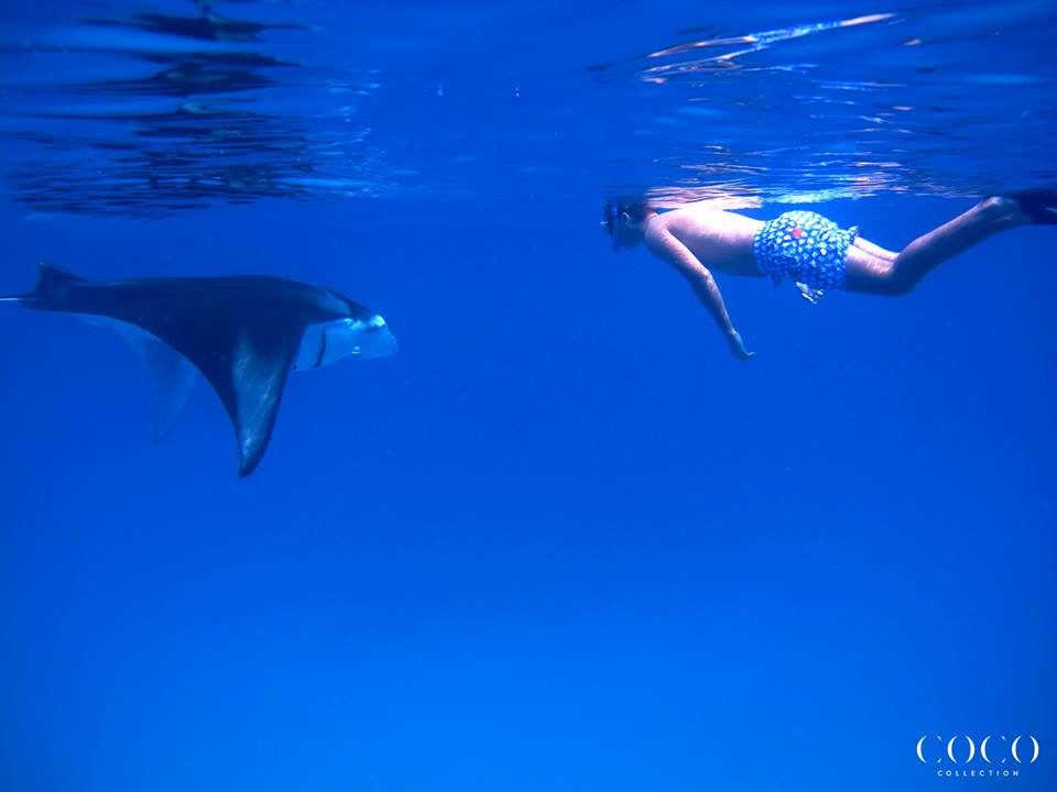 Coco Bodu Hithi Maldives 3 