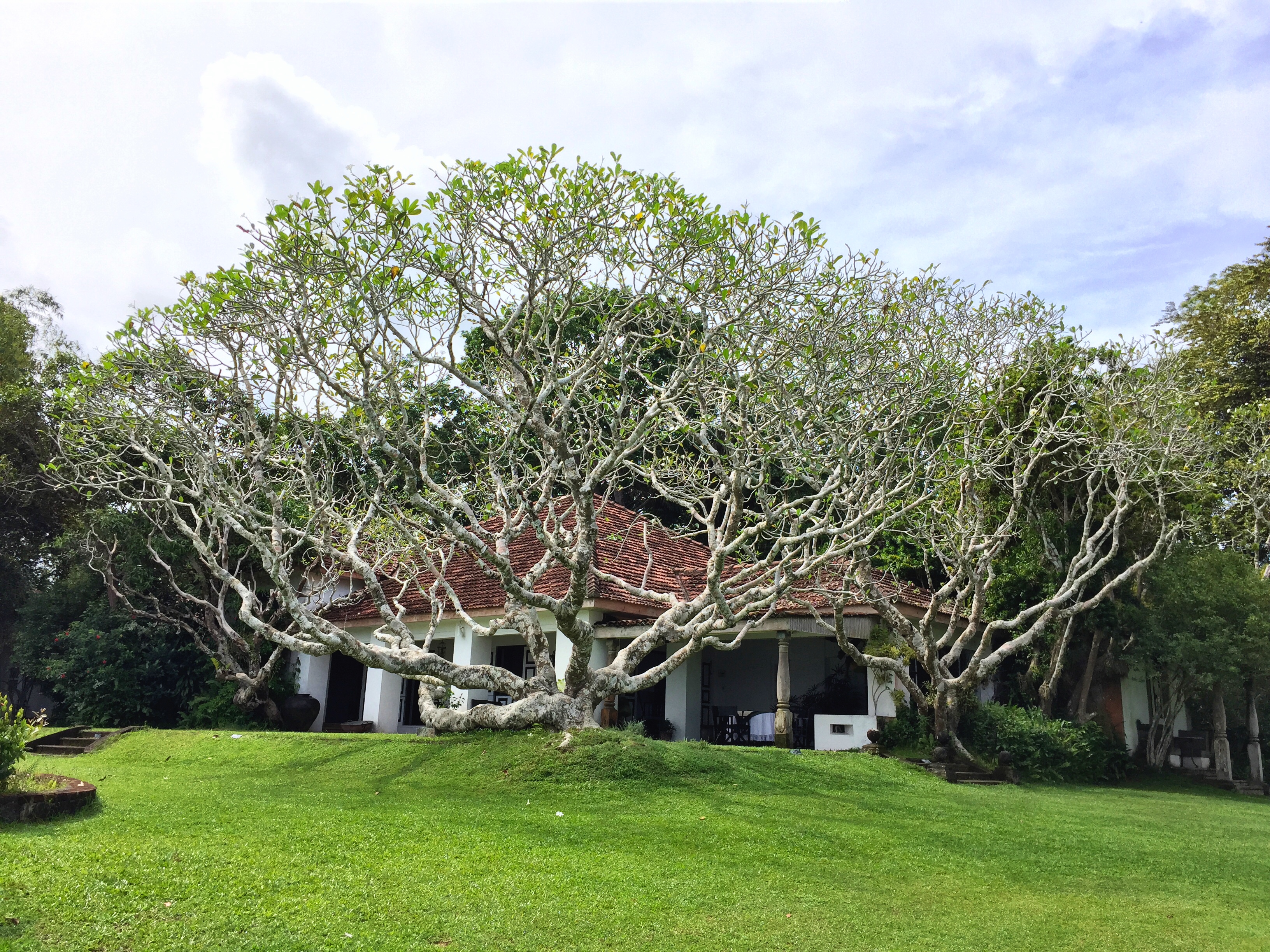 SRI LANKA - Lunuganga Sri Lanka
