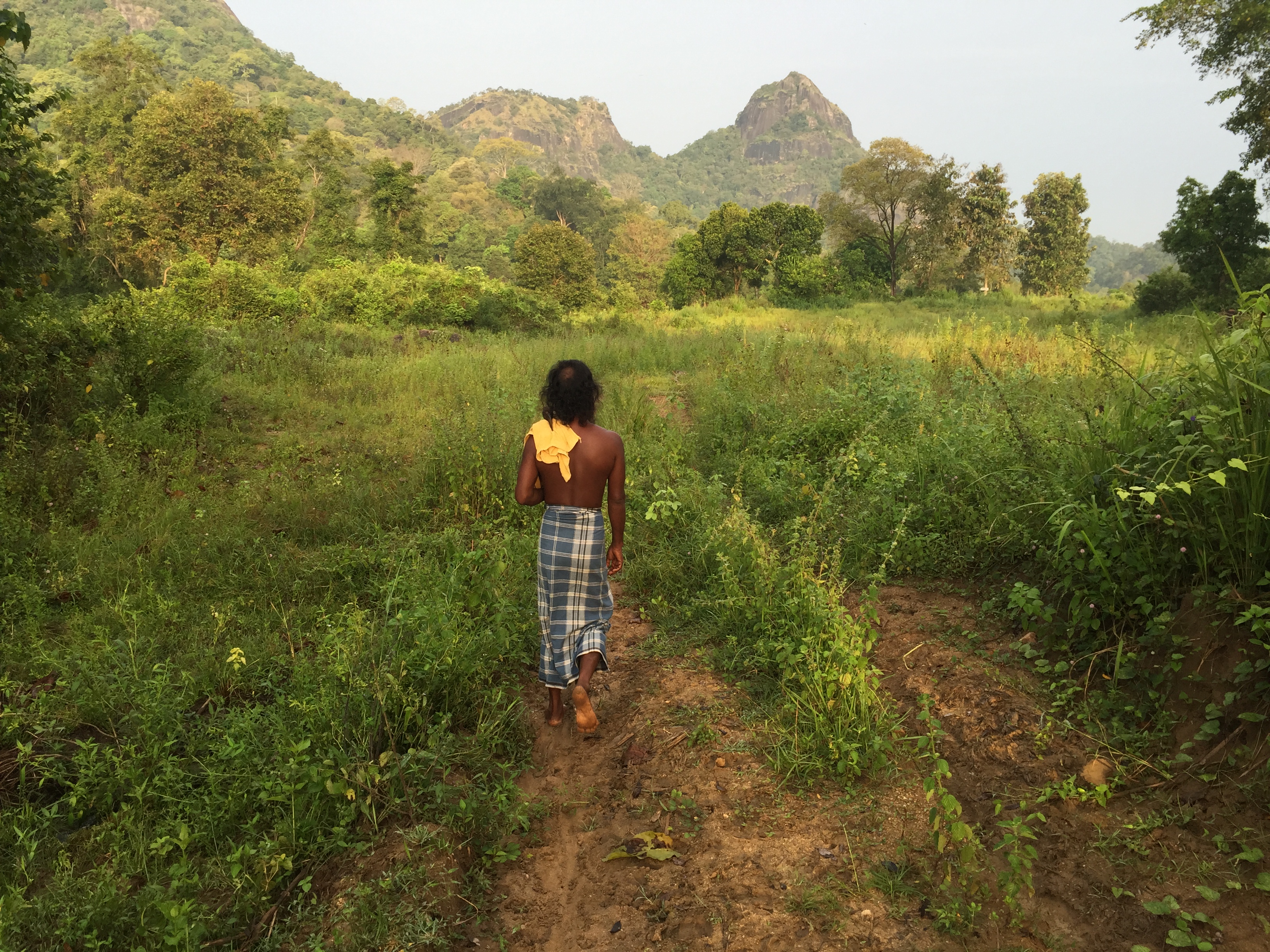 SRI LANKA - A Walk With Vedda Gal Oya Sri Lanka