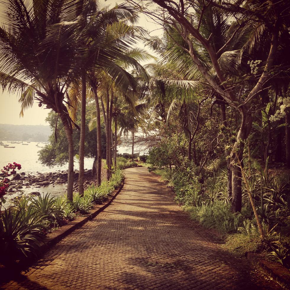 Ahilya By The Sea Goa South India 32 