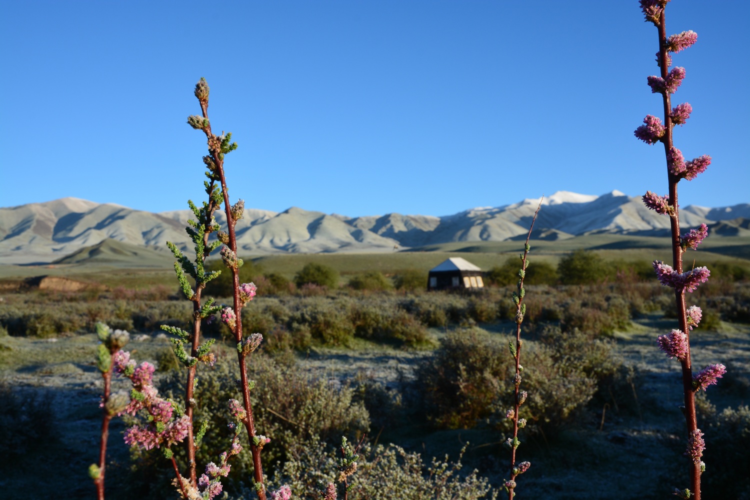 Norden Camp Amdo Gansu China 4 