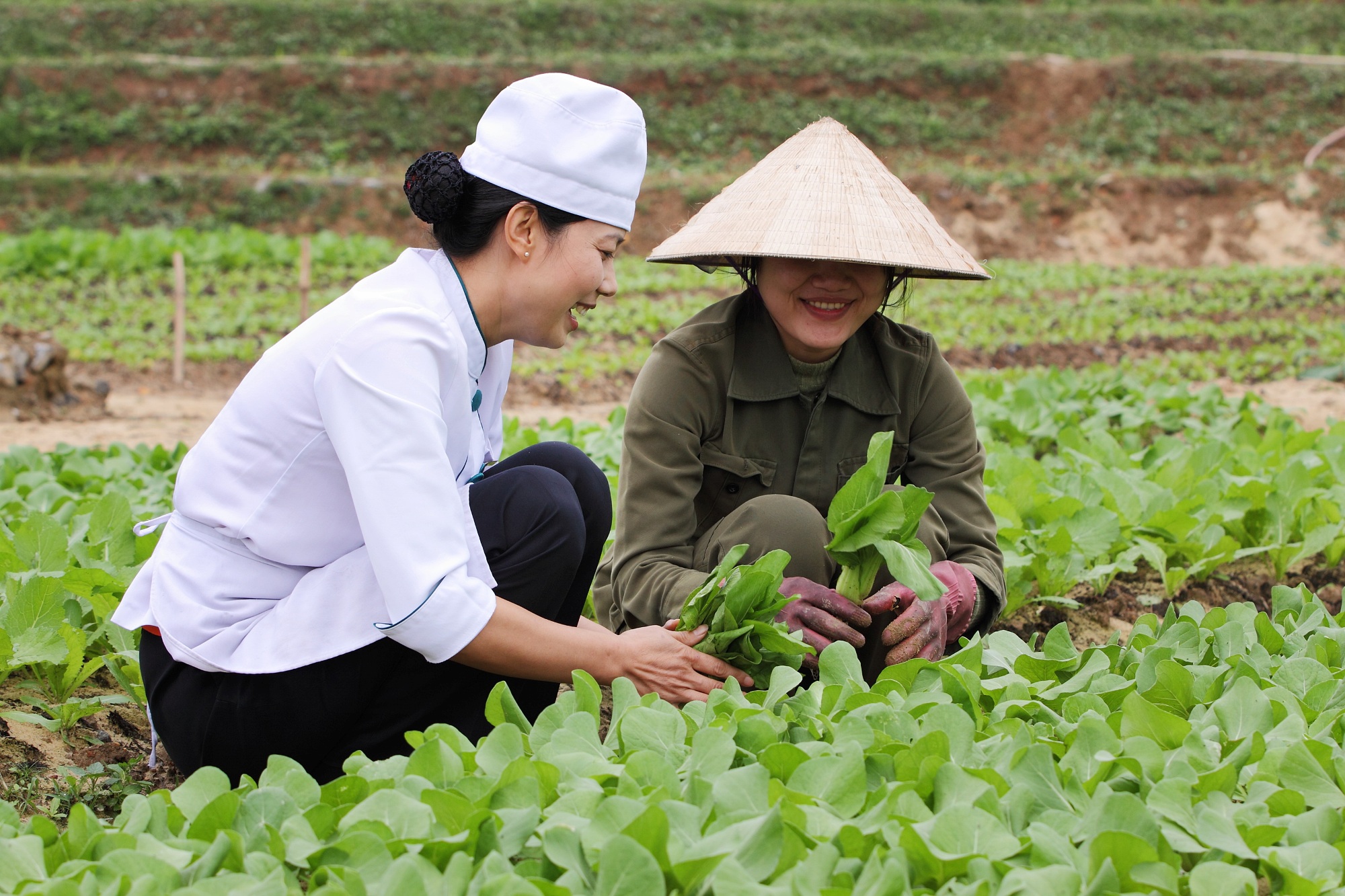 Sun Spa Resort Dong Hoi Vietnam 3 