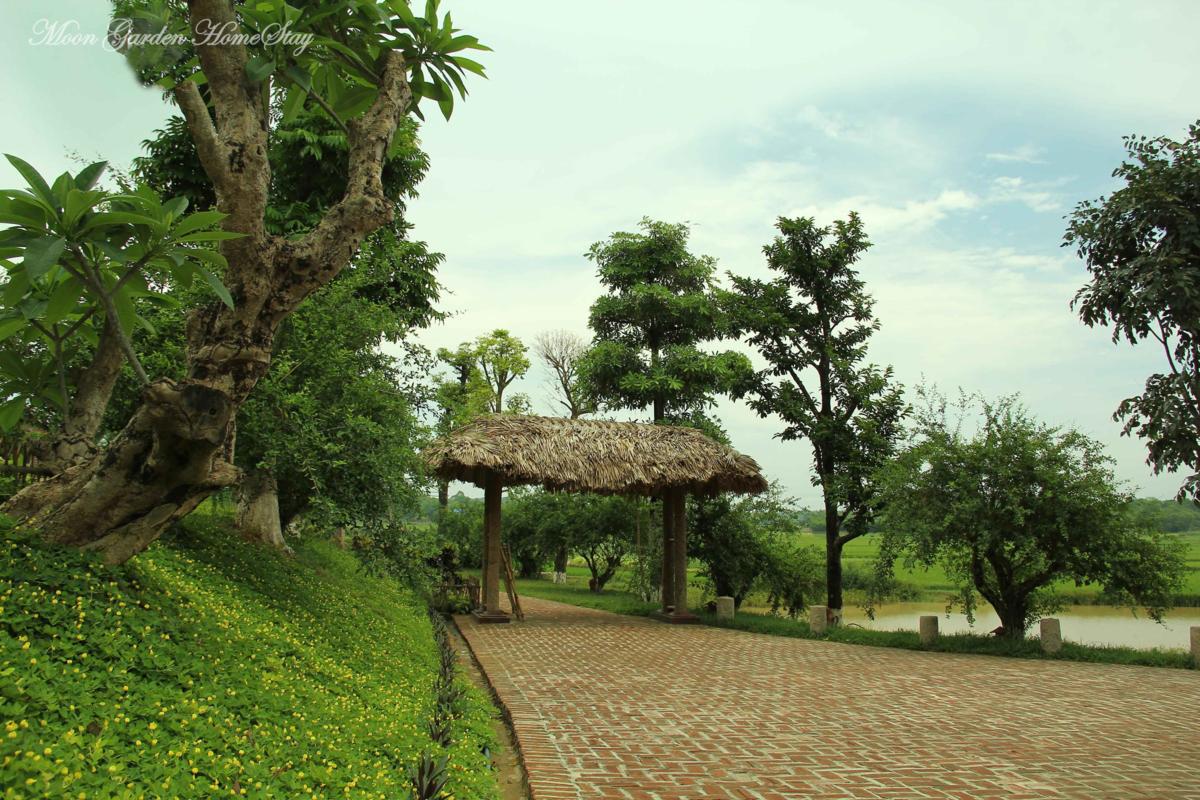Moon Garden House Ky Son Vietnam 10 
