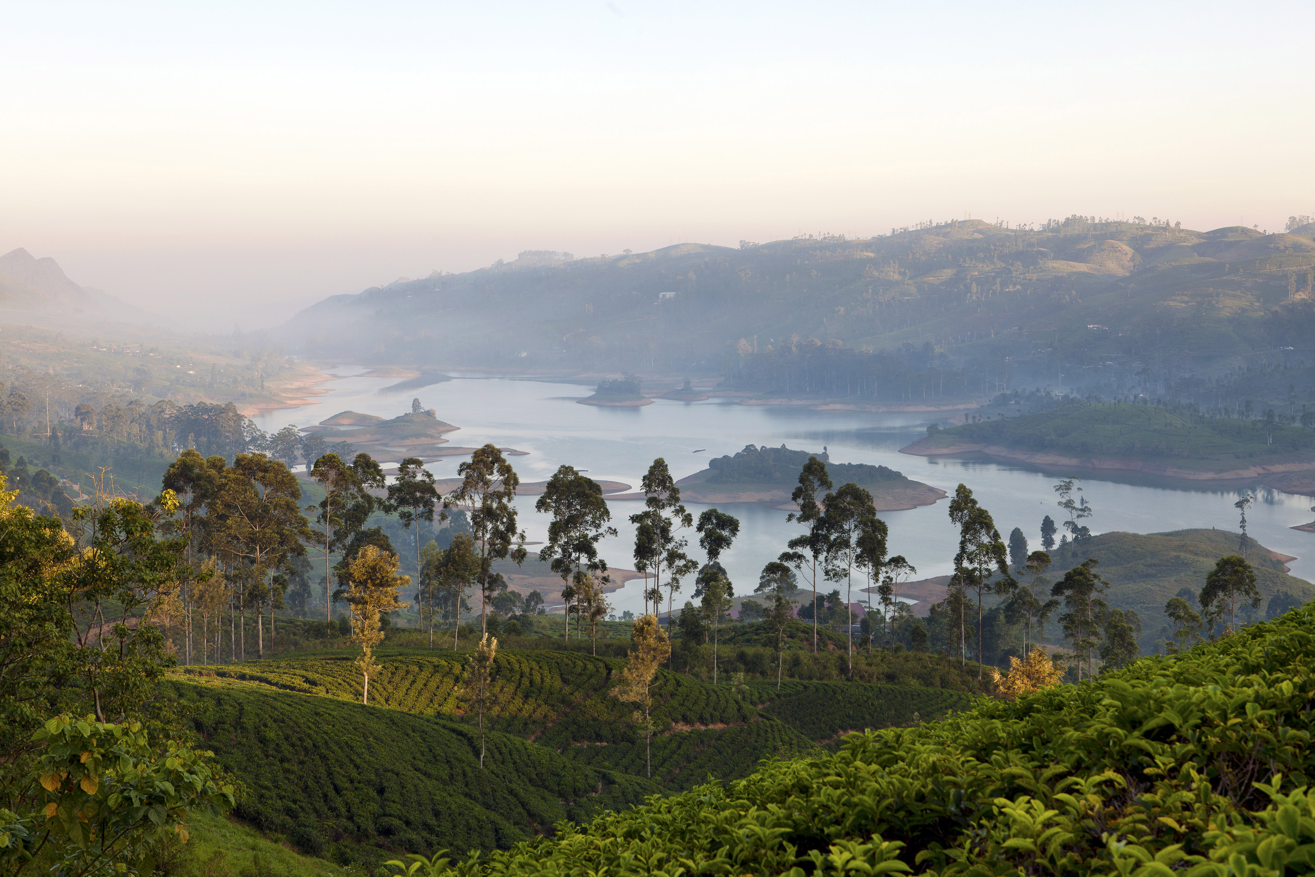 Castlereagh Reservoir , Tea Trails , Sri Lanka (2)