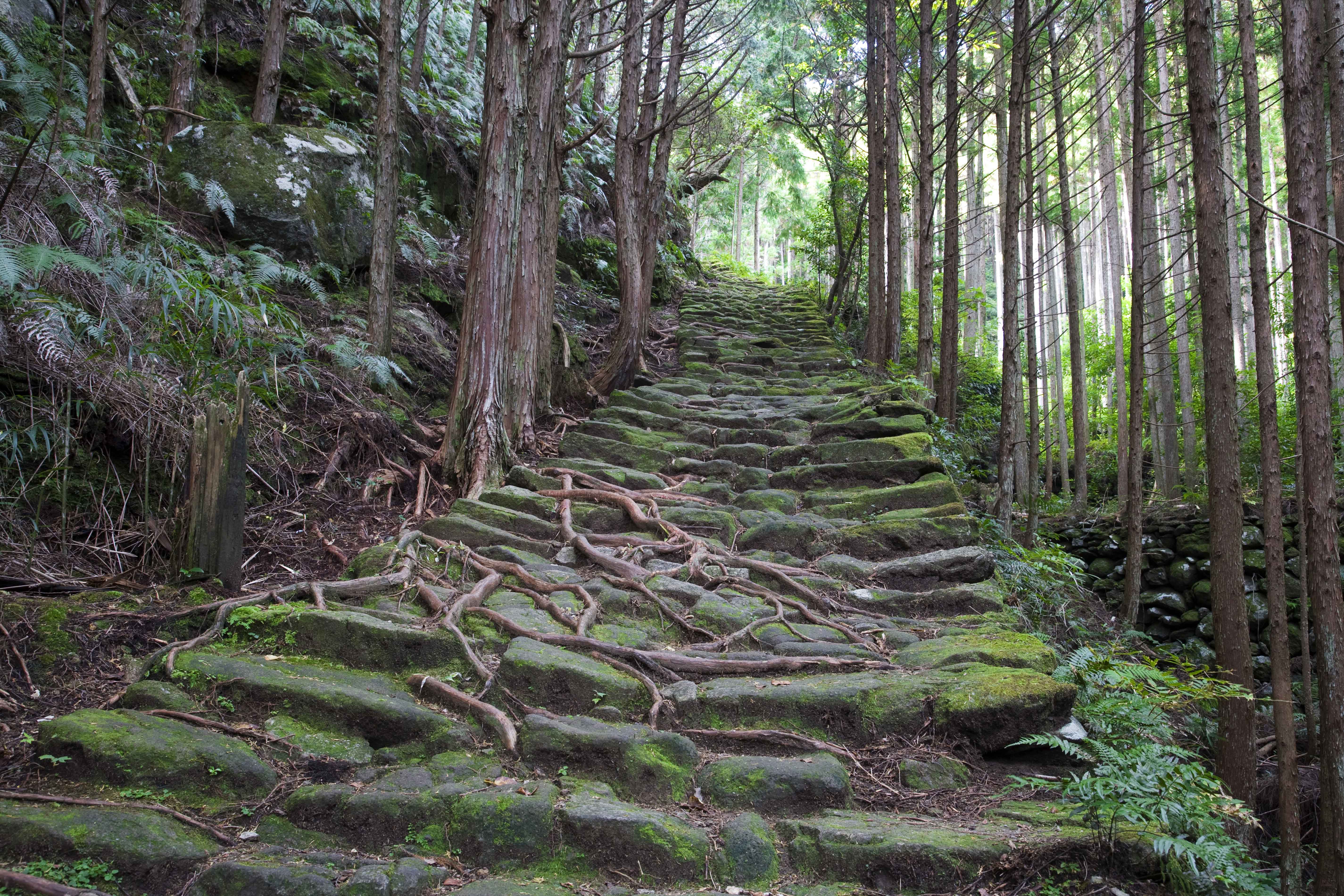 Amanemu Ise Shima National Park Japan 3 