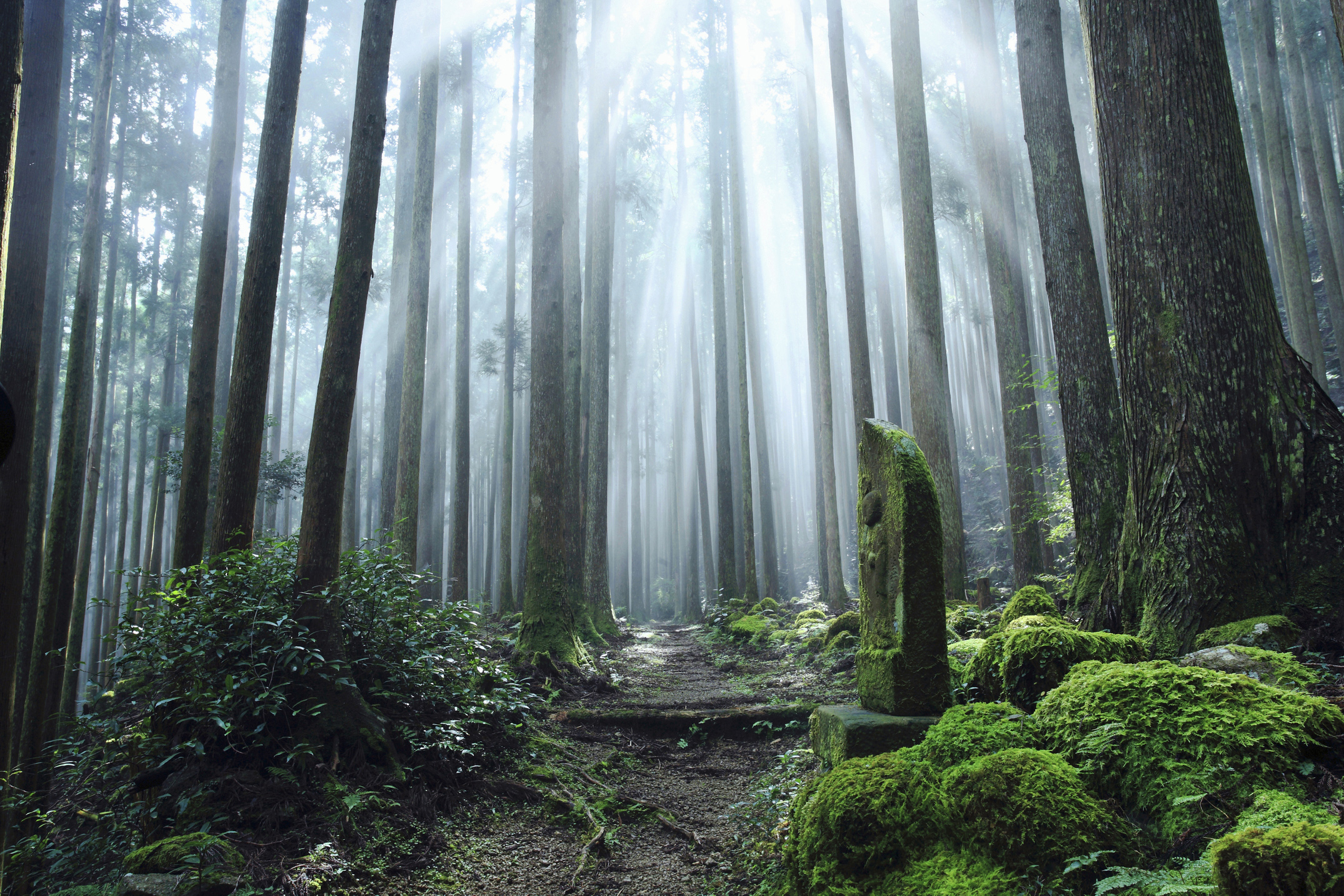 Amanemu Ise Shima National Park Japan 2 