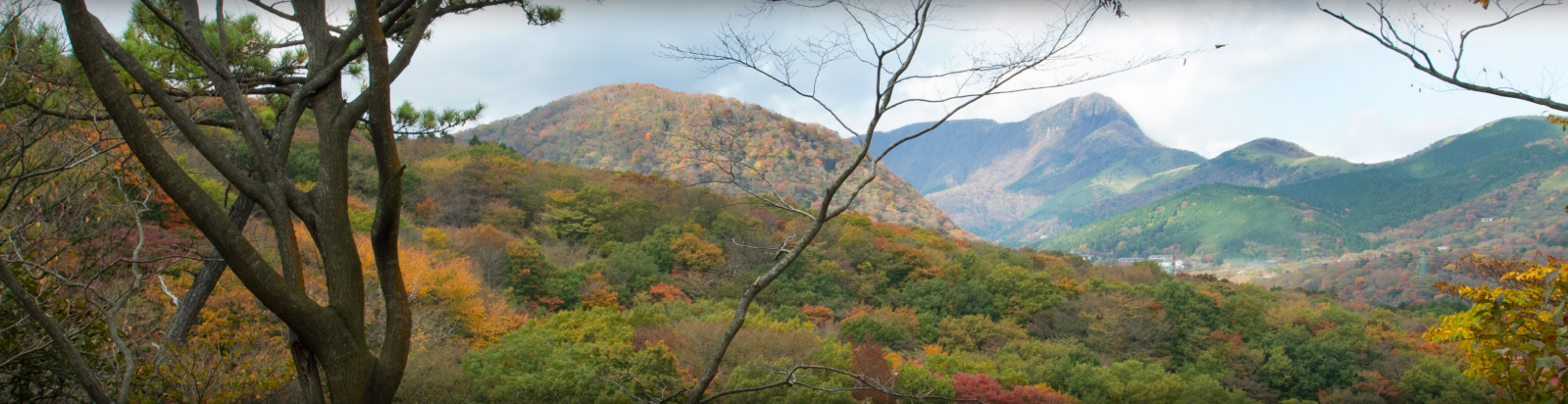 Madoka No Mori Hakone Japan 14 