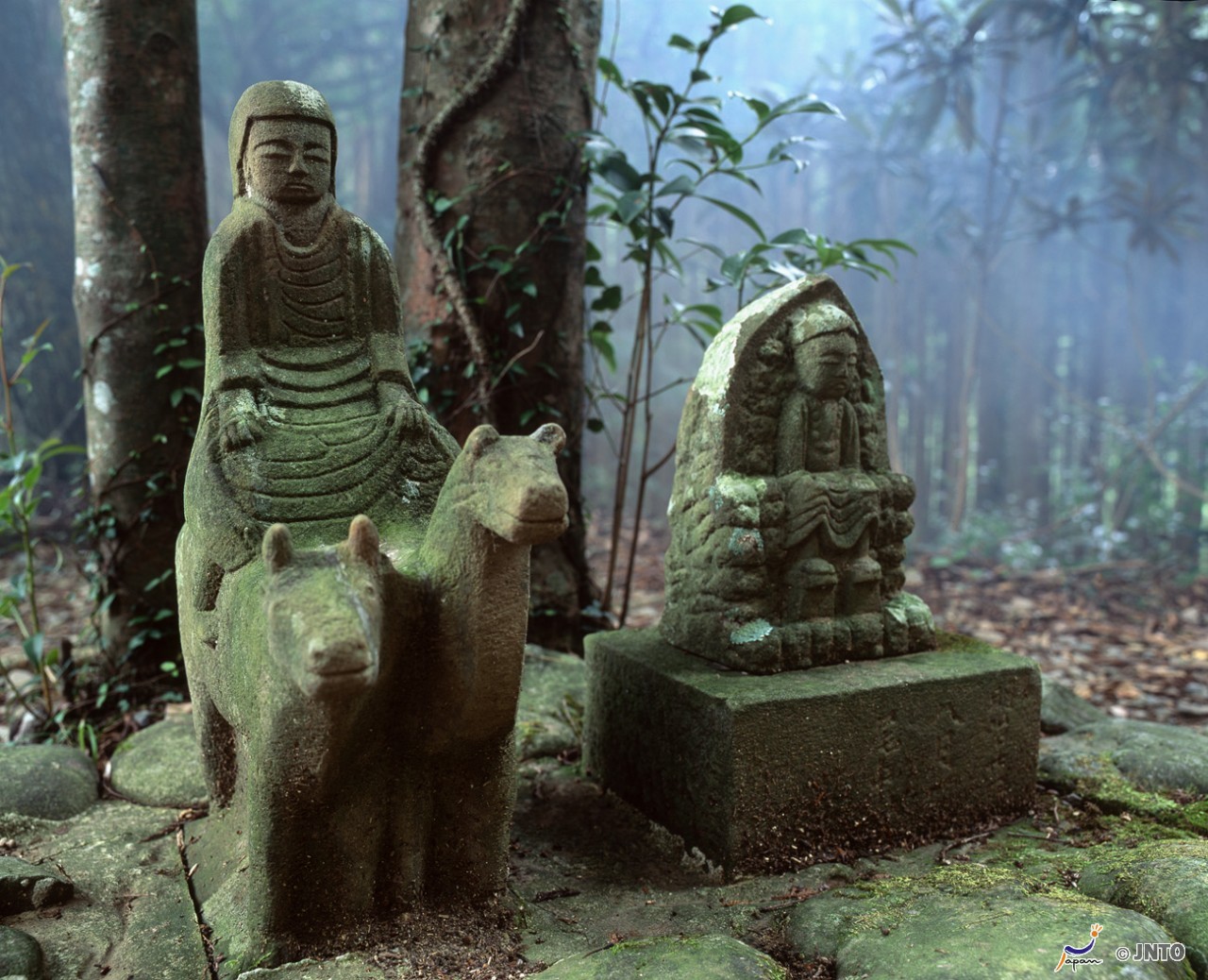 Kii Peninsula Japan 3 