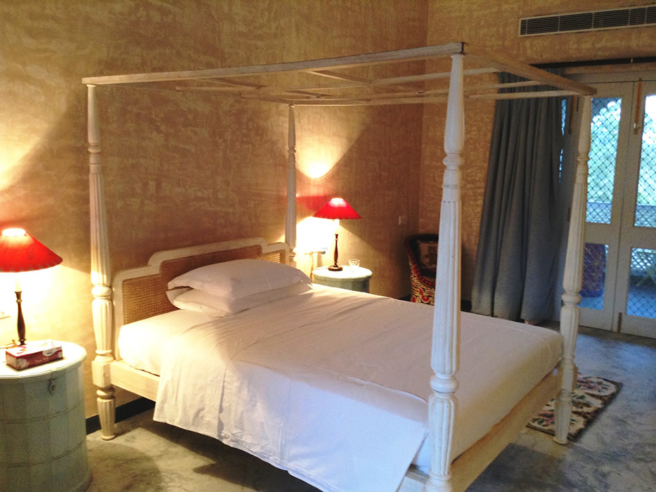 Bujera Fort Udaipur North India 17 