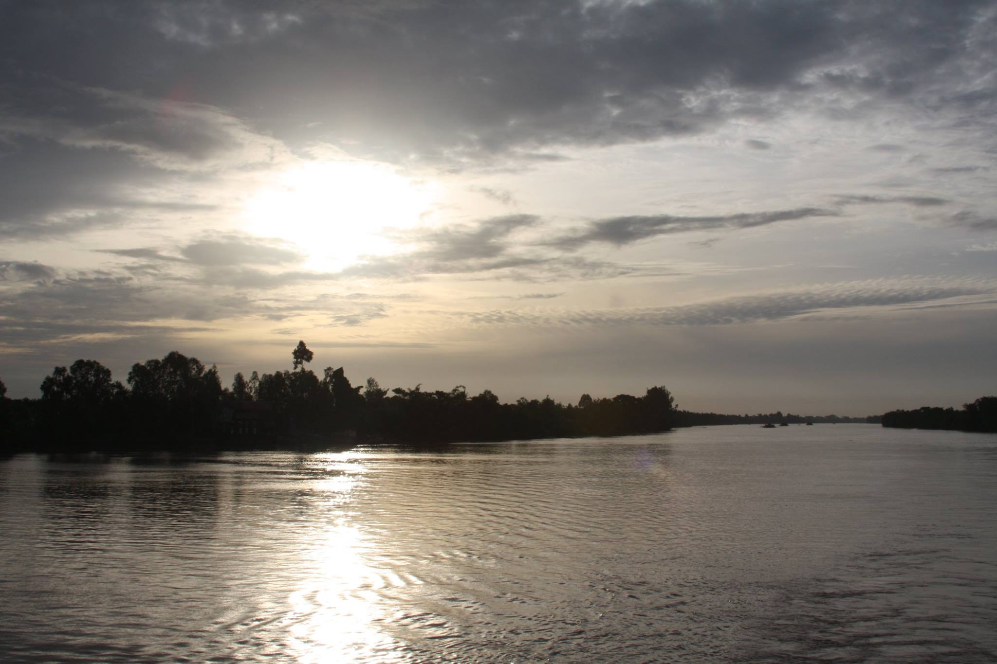 Gecko Eyes Mekong Delta Vietnam 5 