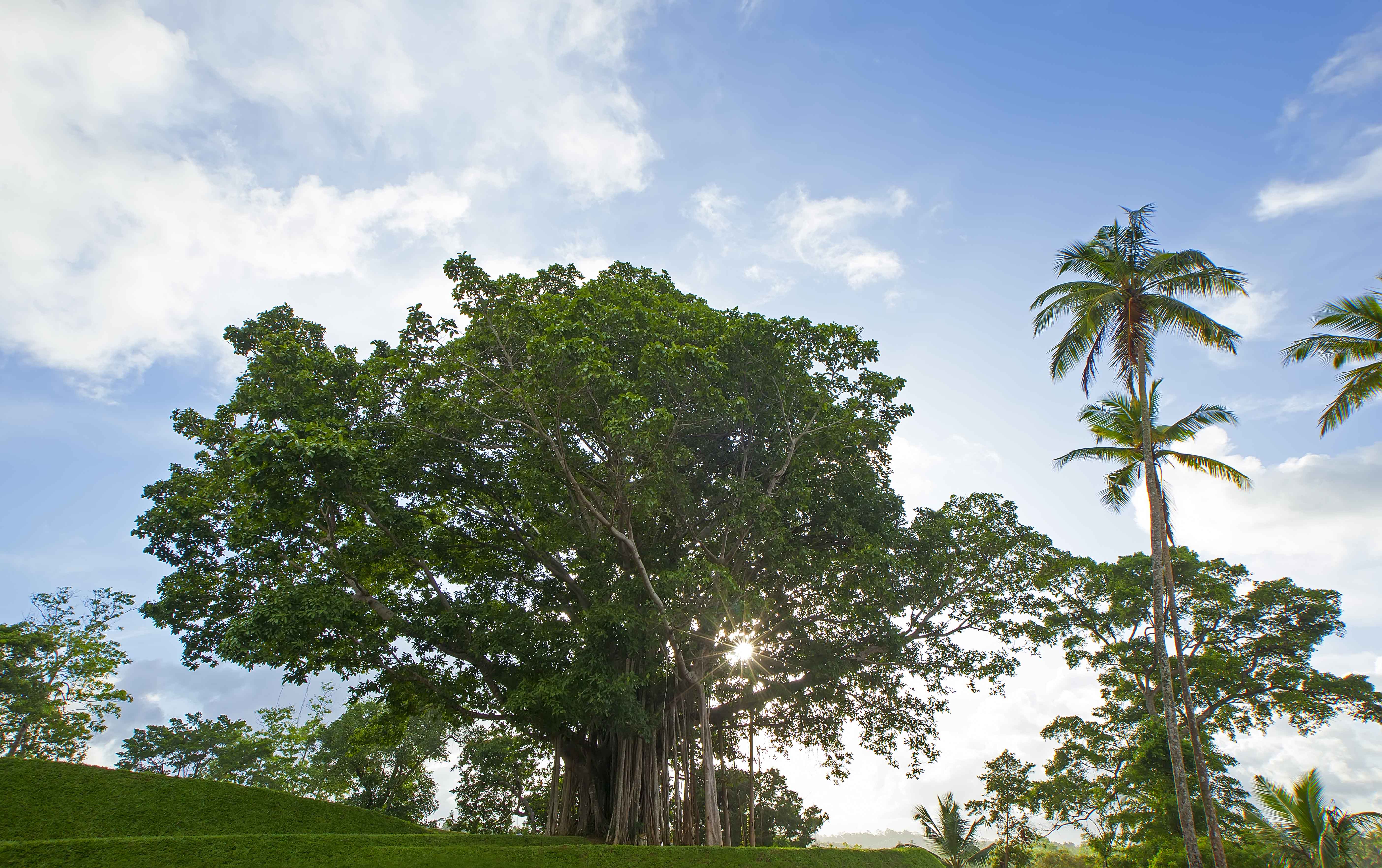 TRI LANKA Galle Koggala Lake Sri Lanka 5  (1)