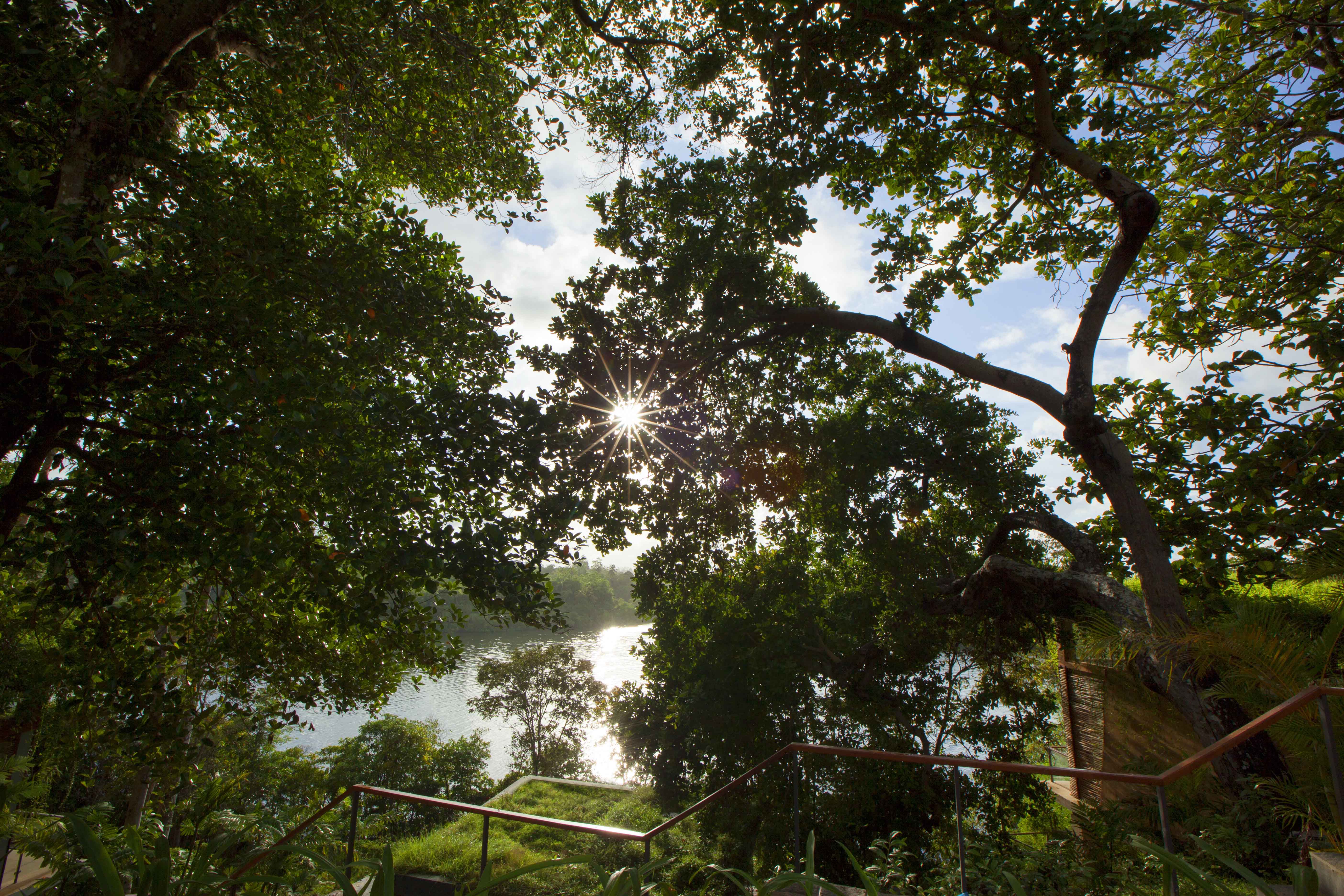 TRI LANKA Galle Koggala Lake Sri Lanka 6  (1)