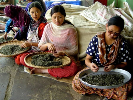 Glenburn North India 1 