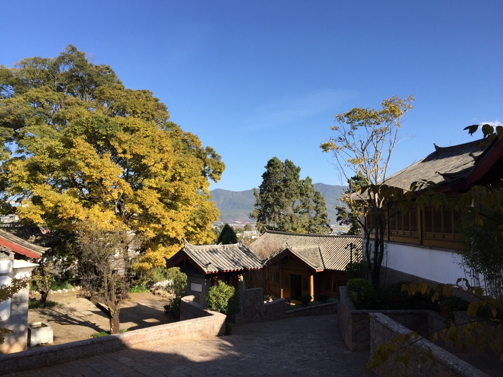 Tea Terrace At Amandayan