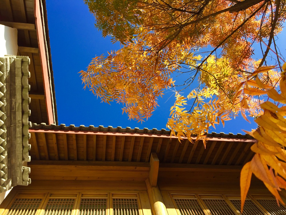 Autumn In Lijiang